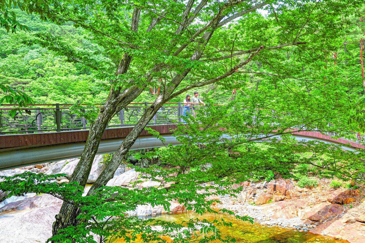 산청 대원사계곡길 /사진-산청군