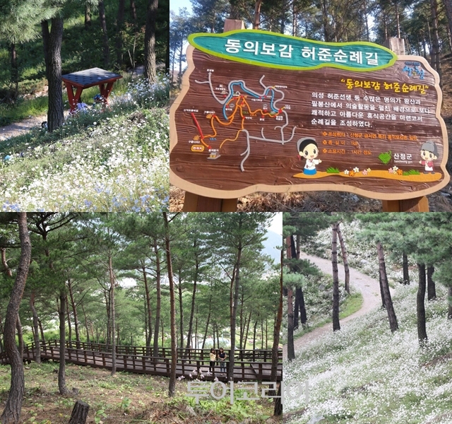 동의보감촌 허준 순례길 / 사진-산청군