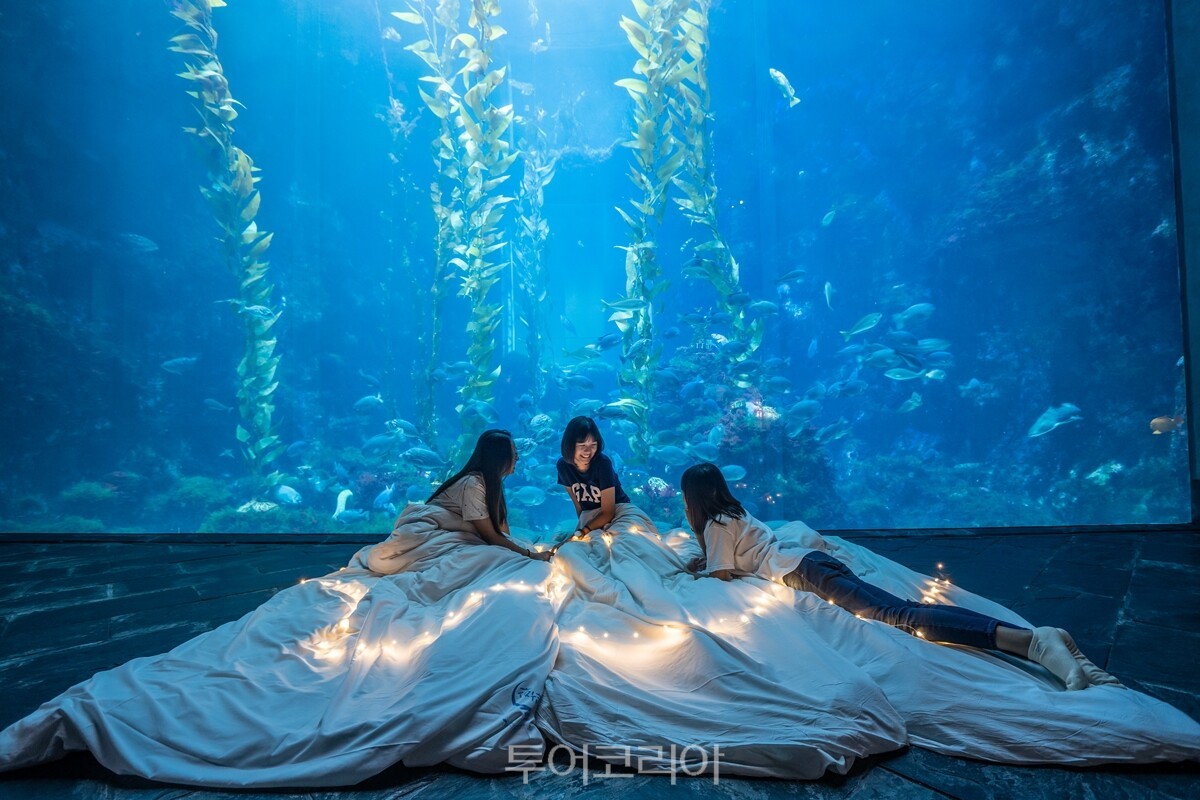 국립해양생물박물관 수족관에서 하룻밤 /사진-대만관광청