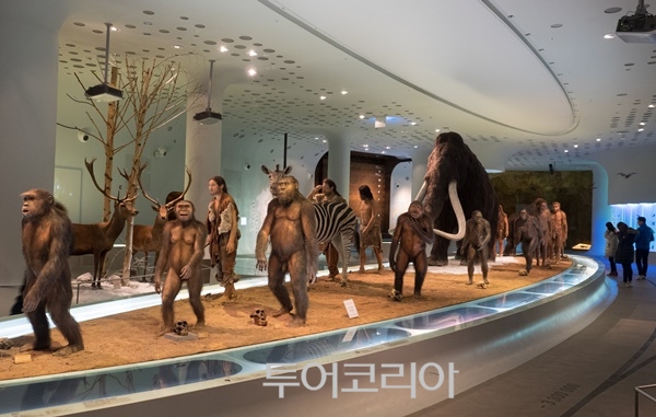 전곡선사박물관