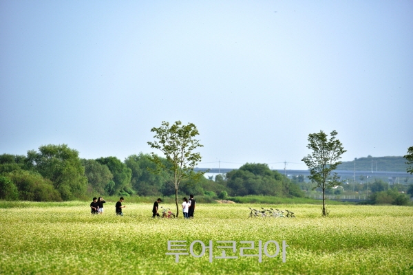 여주 당남리섬 / 사진-여주시