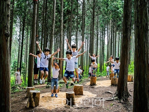 편백숲 우드랜드 /사진-장흥군