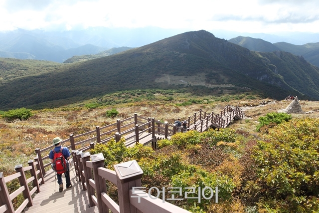 천황산에서 나무 계단을 따라 천황재로 내려간다ⓒ이정화 여행작가 / 사진-한국관광공사