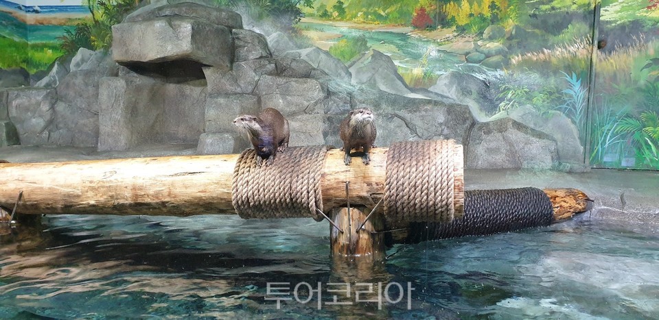 민물고기생태체험관
