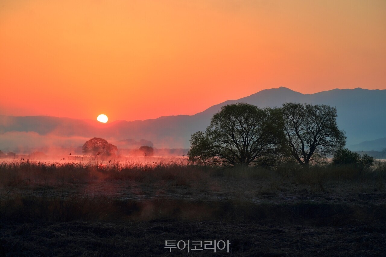  창녕 우포늪 일출 풍경/사진-청녕군
