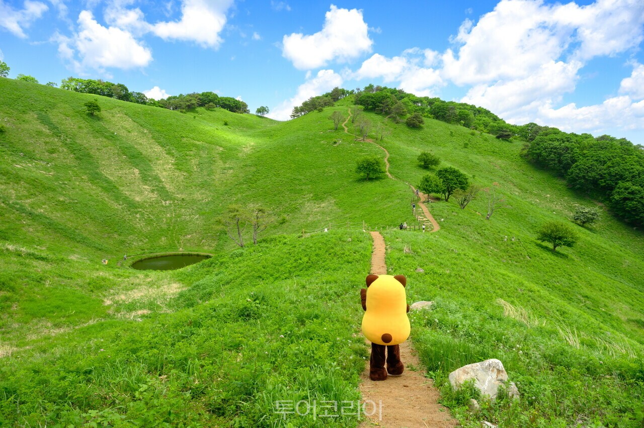 한국의 알프스 민둥산 돌리네/사진-정선군