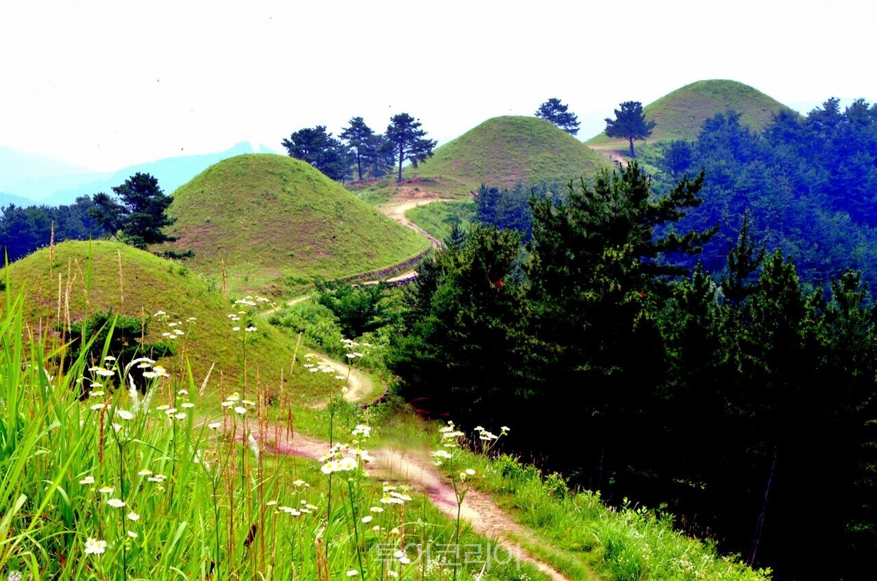 지산동 고분군 / 사진-고령군