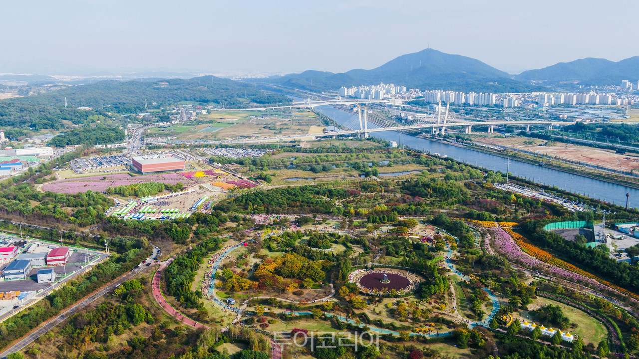 '인천 드림파크 야생화단지'/사진-산림청