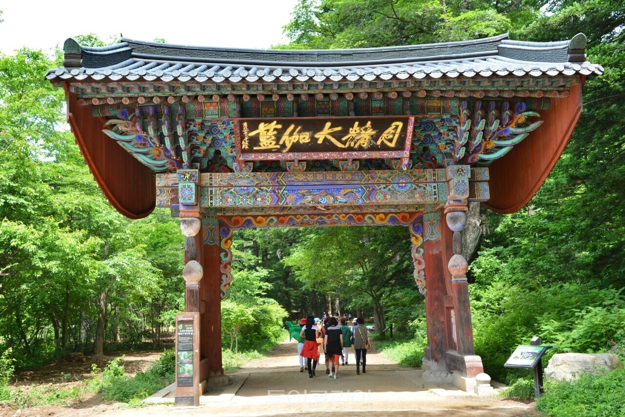 월정사 일주문 전나무숲/사진-투어코리아