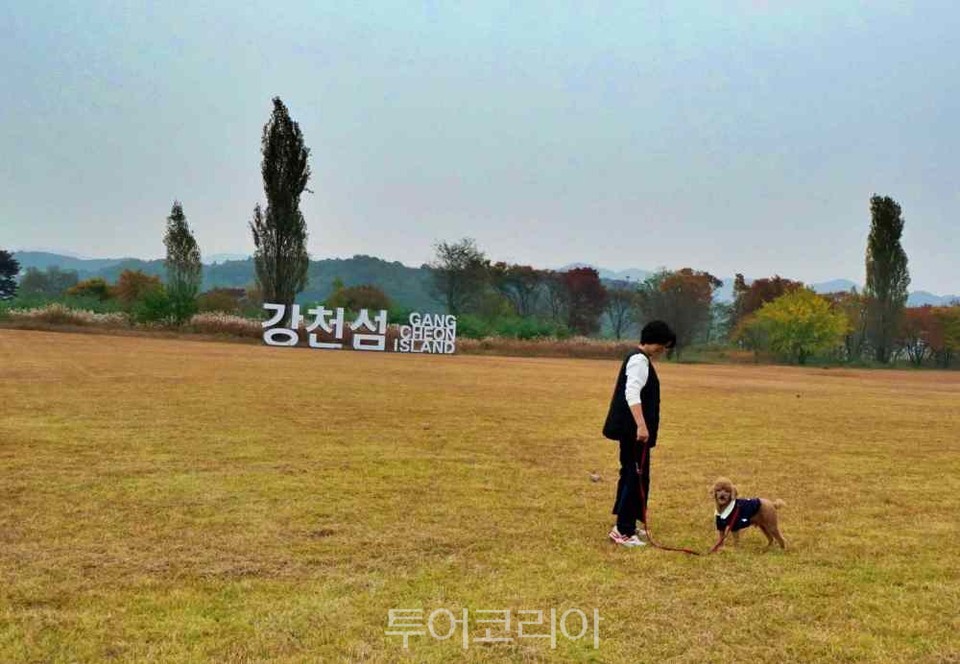 강천섬의 넓은 잔디광장에서 반려견과 산책을 즐기는 나들이객 / 사진-투어코리아