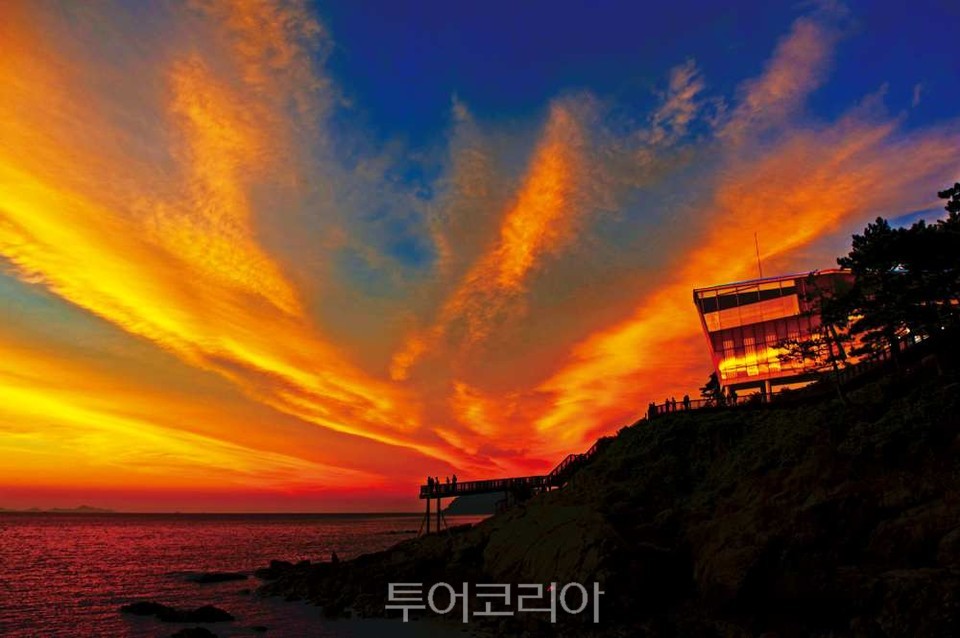 영광 백수해안도로 /사진-영광군