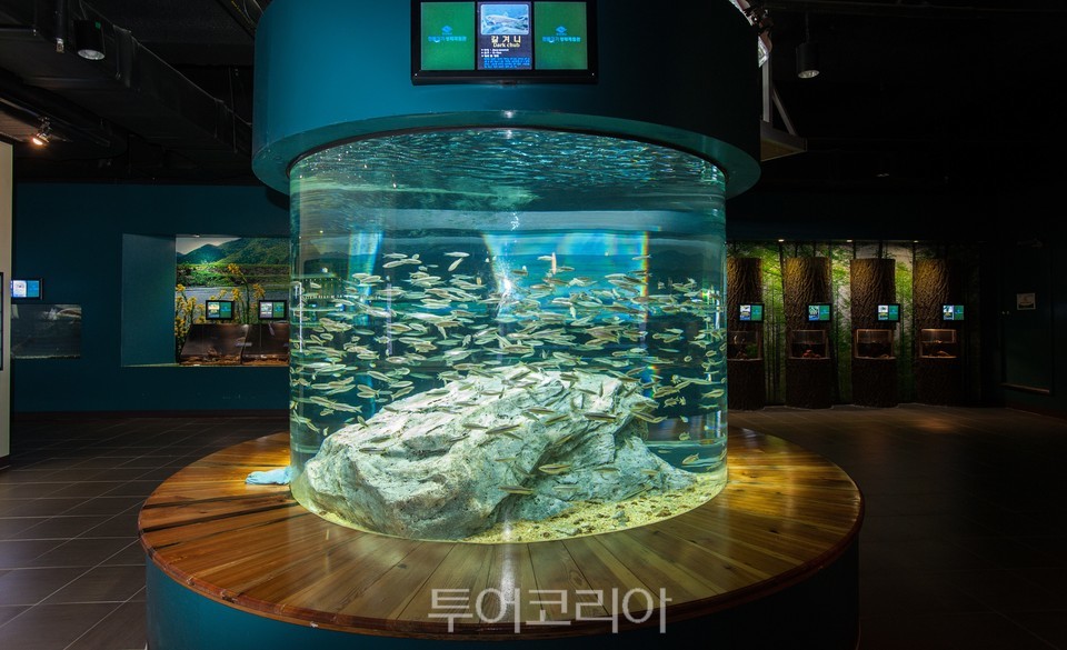 민물고기생태체험관