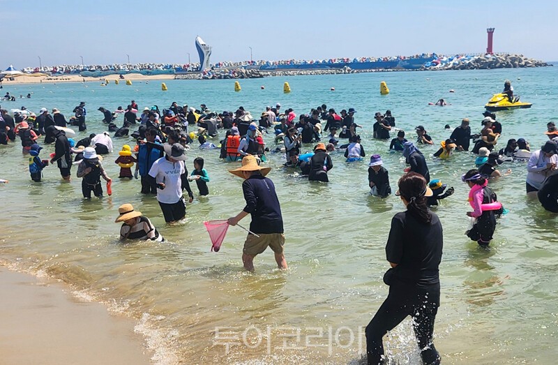 영덕 고래불 해변  영덕  황금은어축제 /사진-영덕군