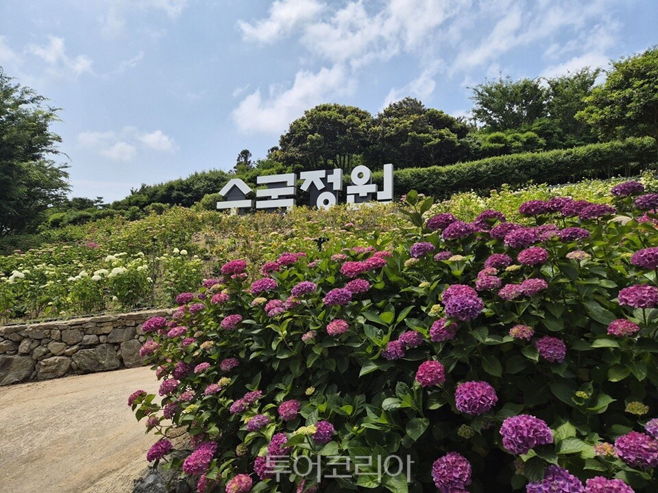 수국정원/사진=신안군