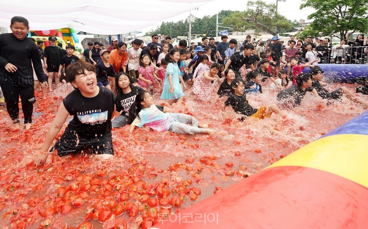 광주 퇴촌토마토거리축제 / 사진-광주시