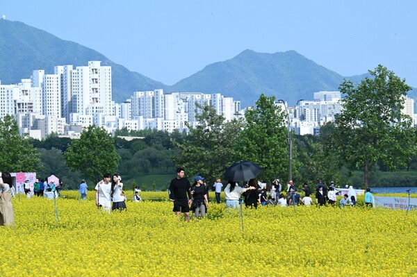 관람객들이 지난 5월 8일 구리한강시민공원에서 열린 '2026 구리 유채꽃 축제'에서 만개한 유채꽃밭을 거닐고 있다. / 사진제공 = 구리시