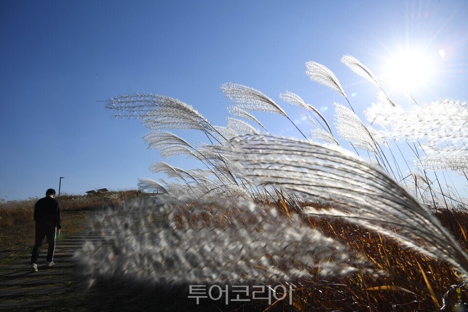 배곧생명공원/사진=시흥시