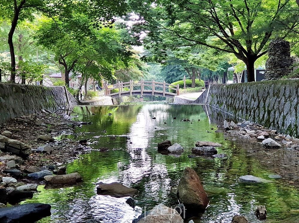 봉학골산림욕장 계곡 /사진-음성군