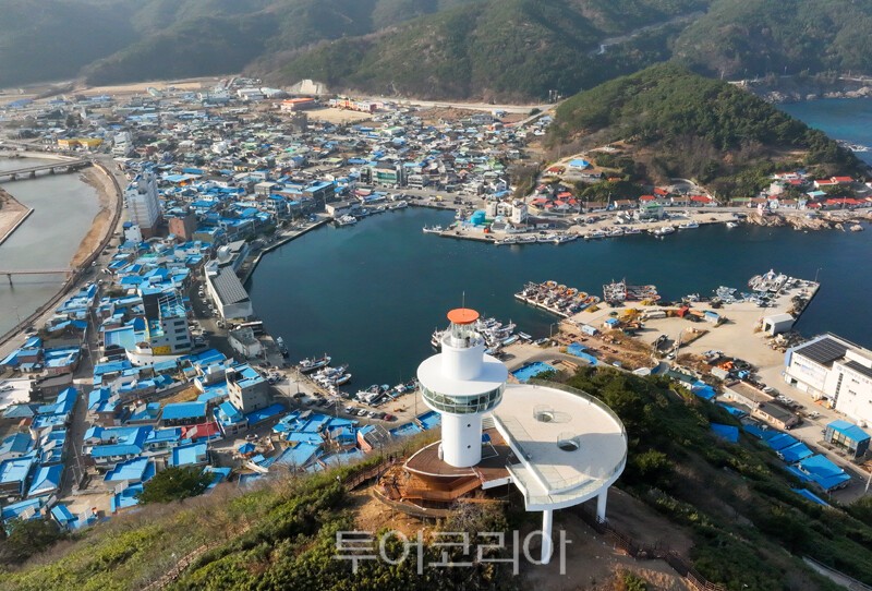 영덕 축산항 전경 /사진-영덕군