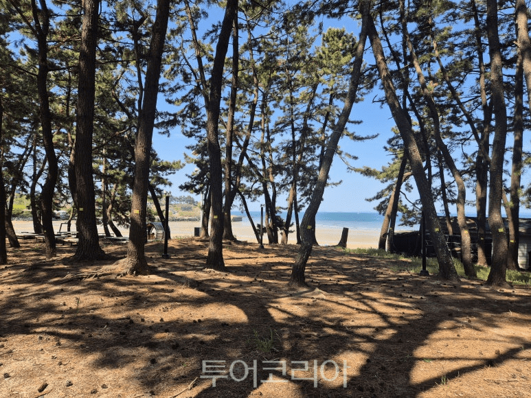 용두해변 / 사진-보령시