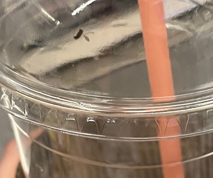 [사진=온라인 커뮤니티]