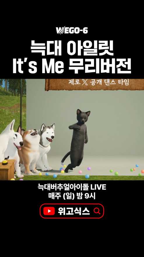 위고식스 틱톡 공식 계정 캡쳐