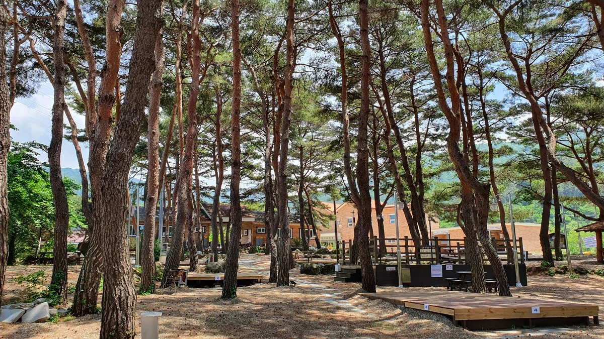 무주 솔밭야영장