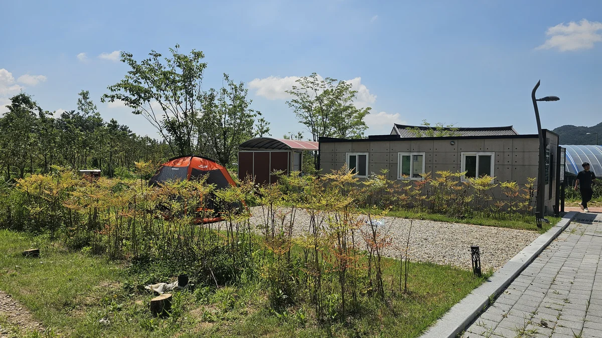 에코캠핑장