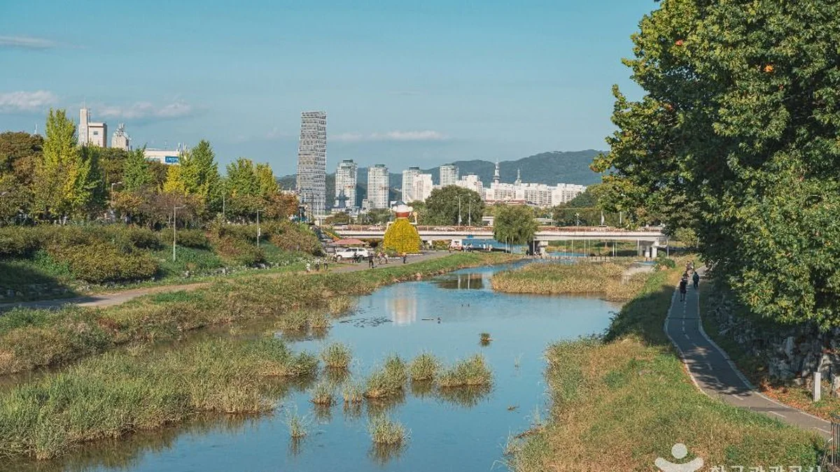 갑천
