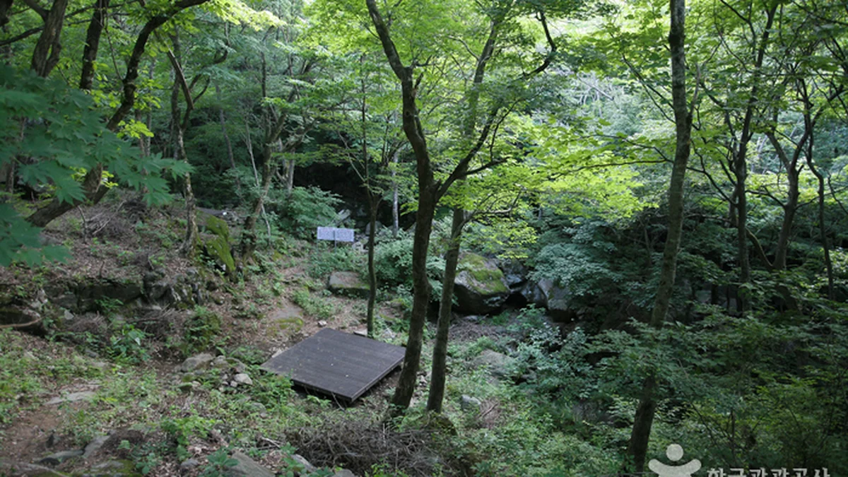 국립 지리산자연휴양림