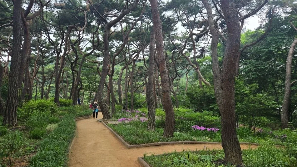 아차산