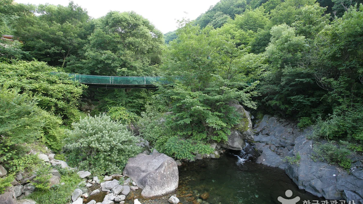 국립 지리산자연휴양림
