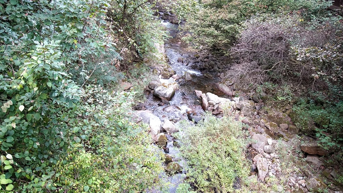 용수골계곡
