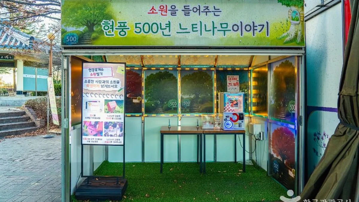 현풍 500년 느티나무 테마공원