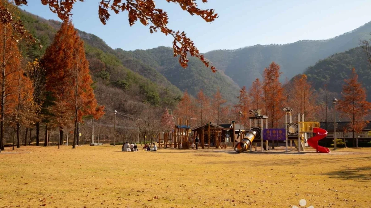 상소동 산림욕장