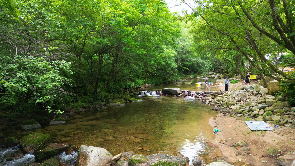 유포리아 캠핑장