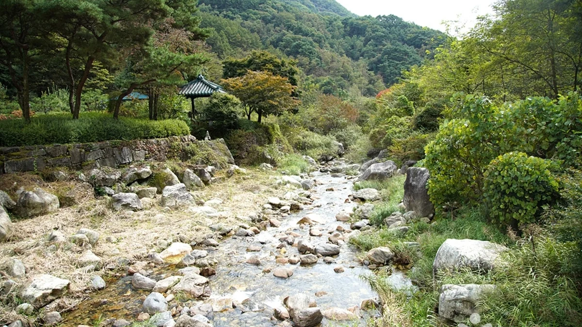 금대계곡