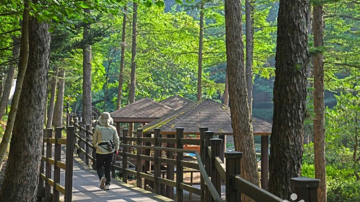 봉학골산림욕장