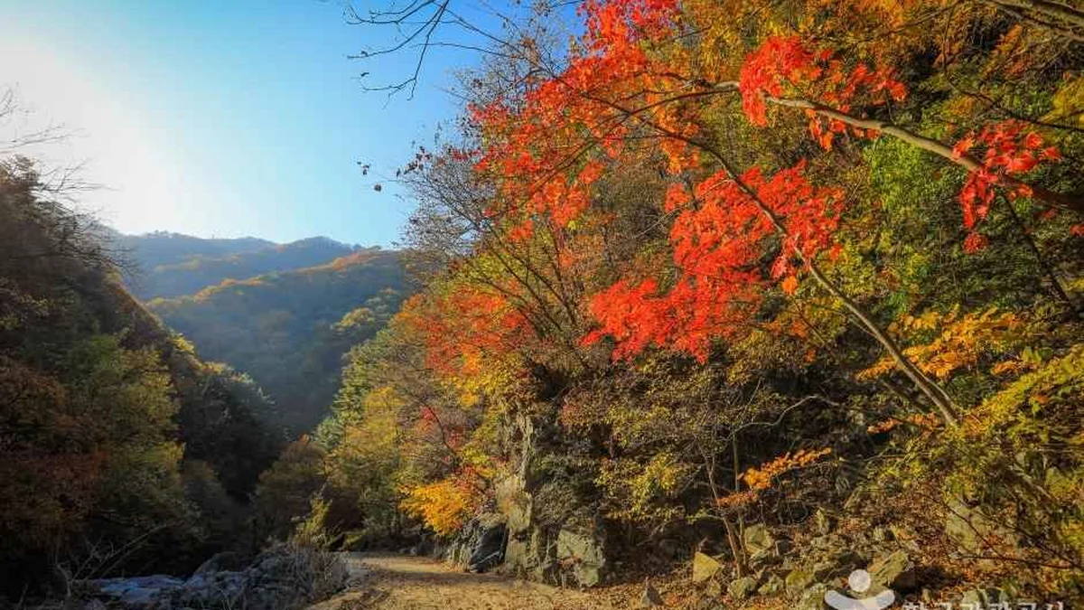 미천골계곡