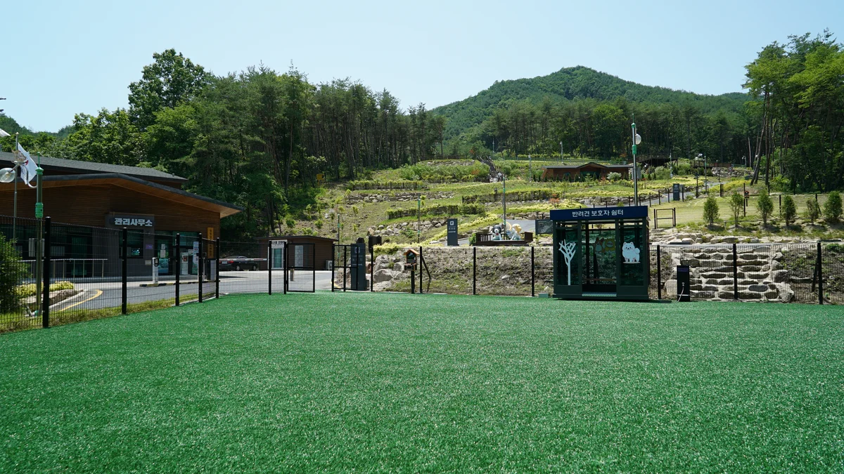 국립김천숲속야영장