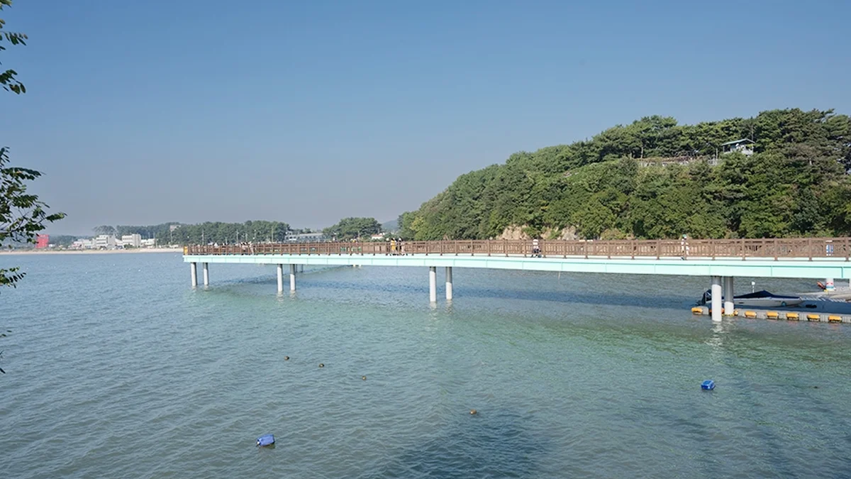 궁평항광장