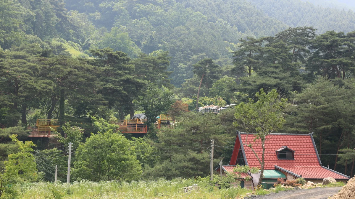 팜스프링 야영장