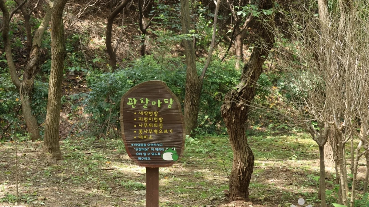 월드컵공원 유아숲체험원
