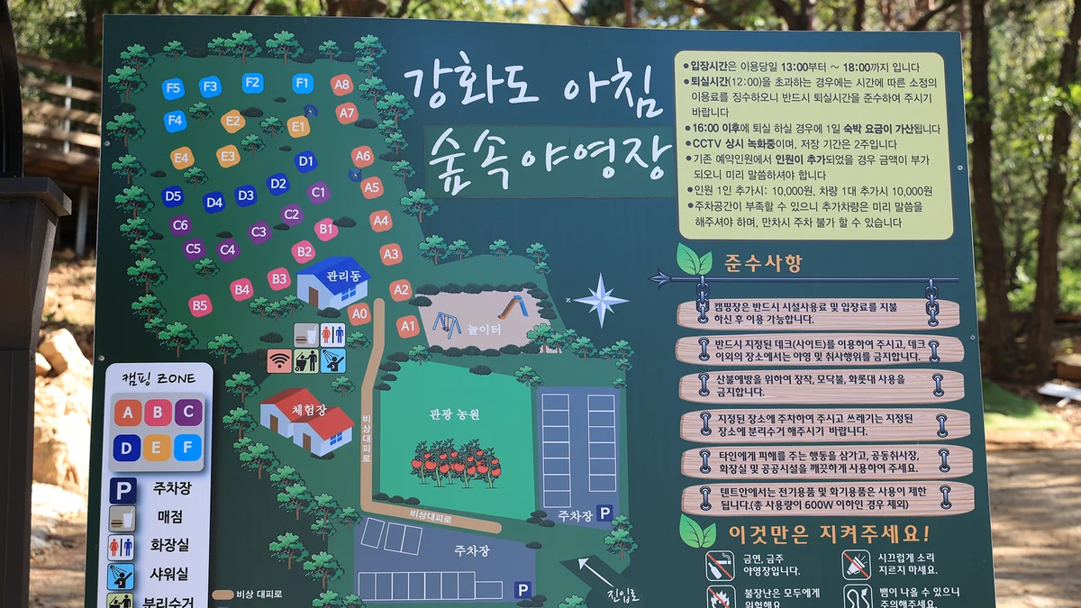 강화도 아침 숲속야영장