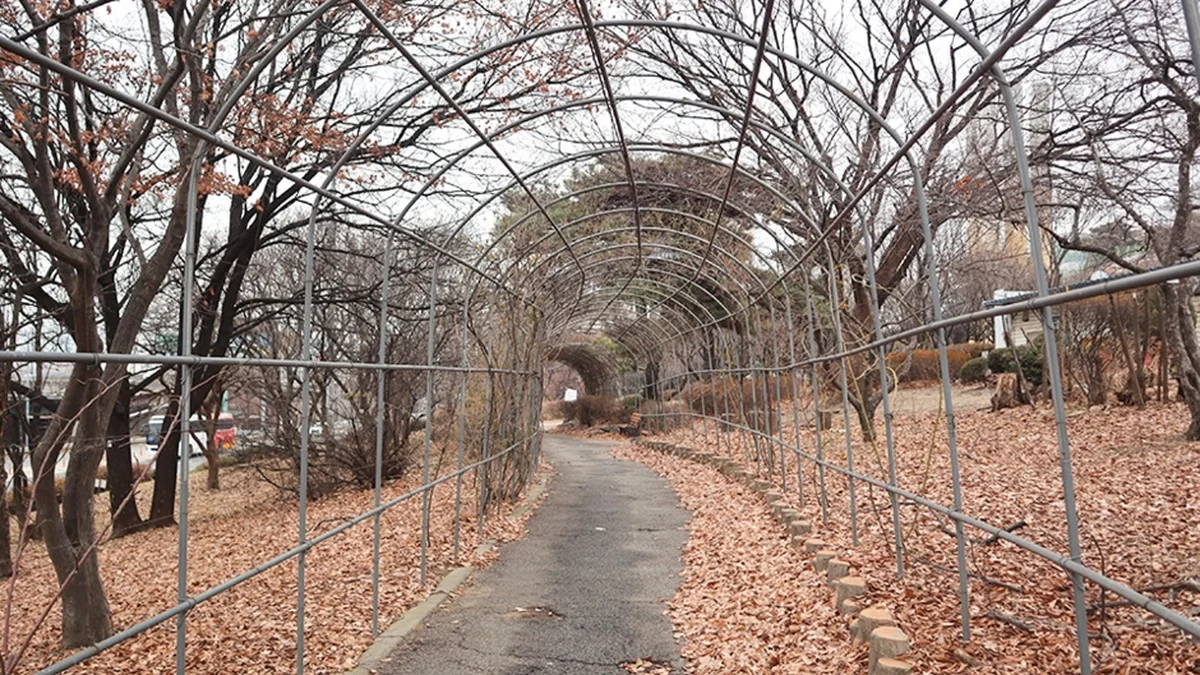 청담도로공원