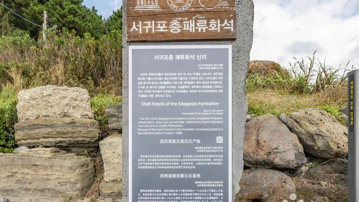 서귀포 패류화석산지