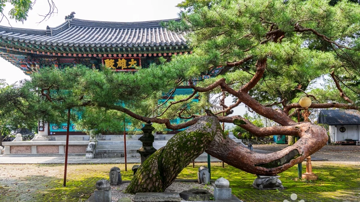 단호사(충주)