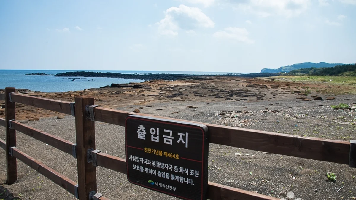 발자국화석공원
