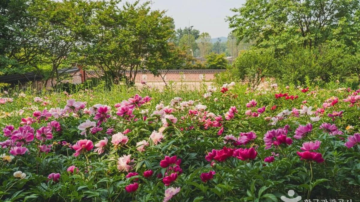 국립중앙박물관 전통염료식물원