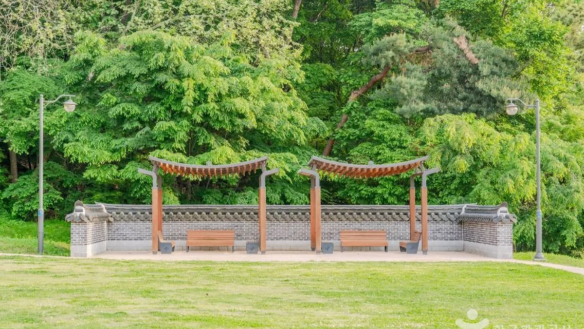 노송지대
